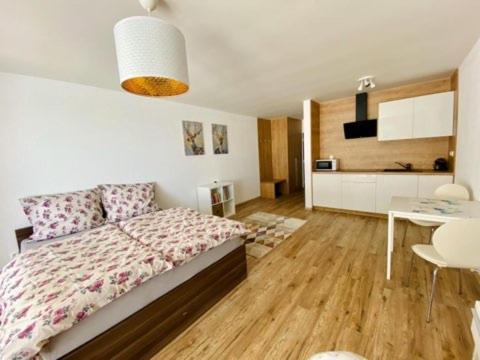 Dream Apartman 波切尼斯 外观 照片
